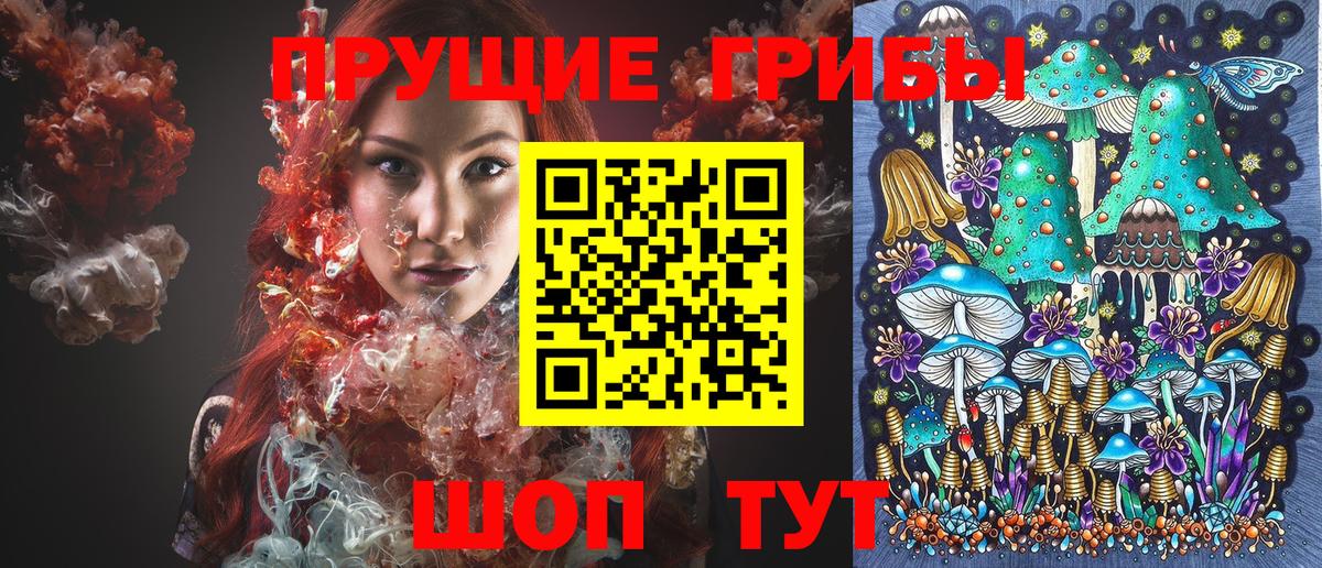 Бирск  Галлюциногенные грибы прущие грибы  хочу   Вход с VPN 